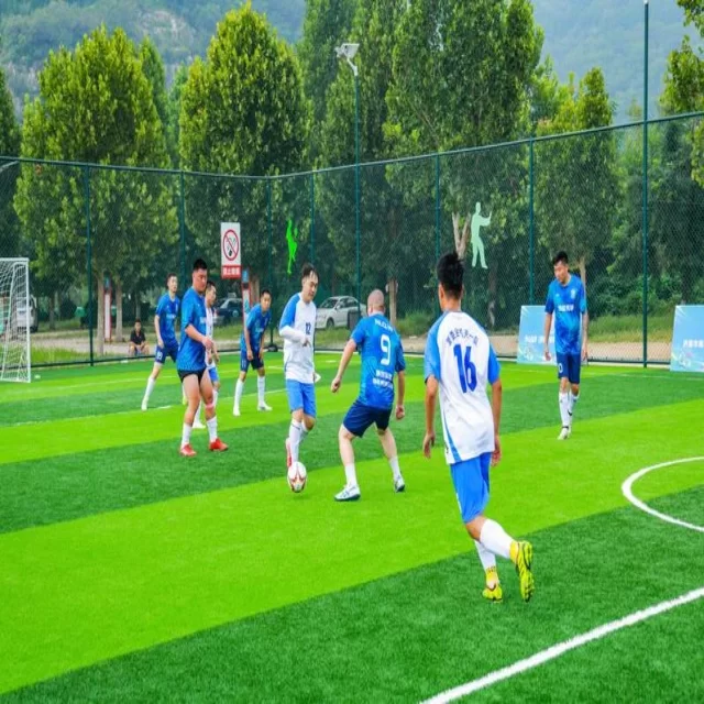 篮球季后赛走势解析：数据视角下的第277组解读